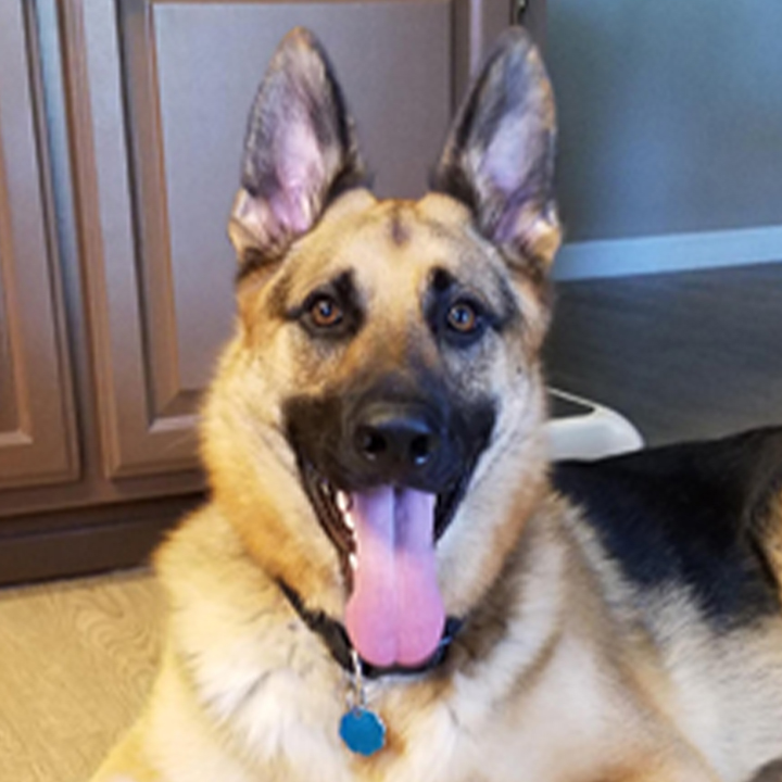 max Maximus